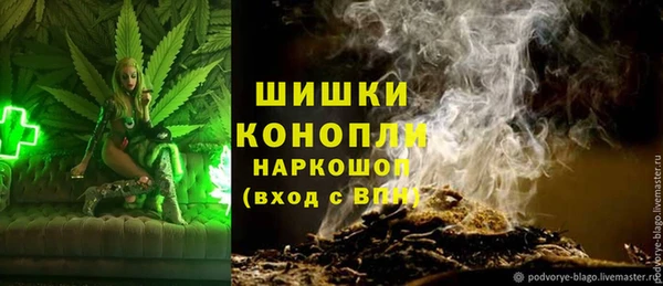 сатива Балабаново